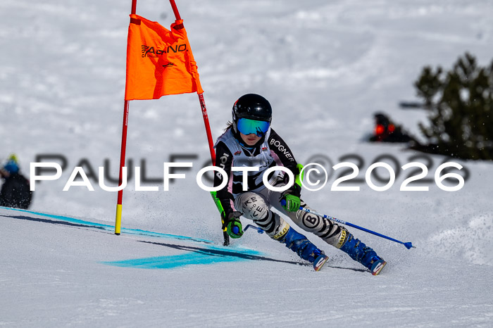 DSV - Actanol Deutscher Schülercup U12 Finale RSX 2026