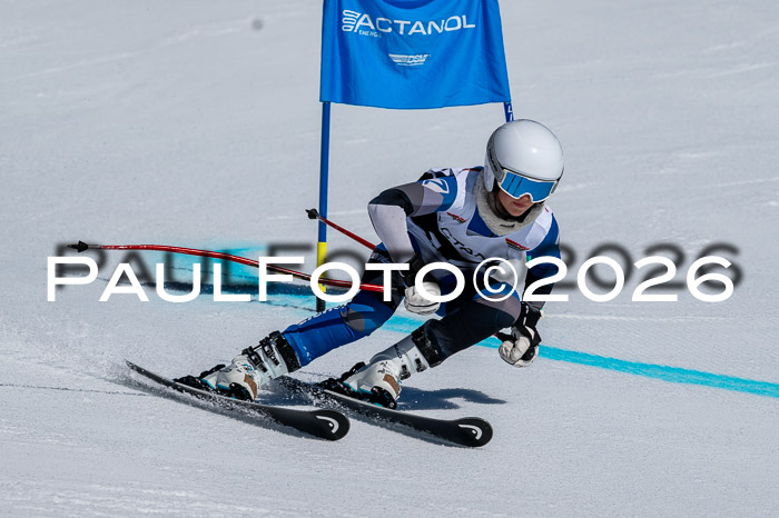 DSV - Actanol Deutscher Schülercup U12 Finale RSX 2026