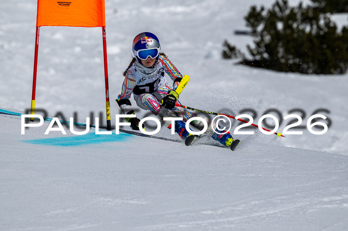 DSV - Actanol Deutscher Schülercup U12 Finale RSX 2026