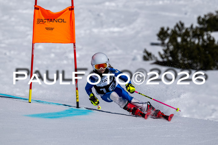 DSV - Actanol Deutscher Schülercup U12 Finale RSX 2026