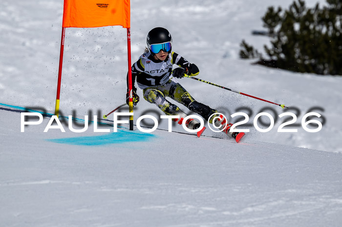 DSV - Actanol Deutscher Schülercup U12 Finale RSX 2026