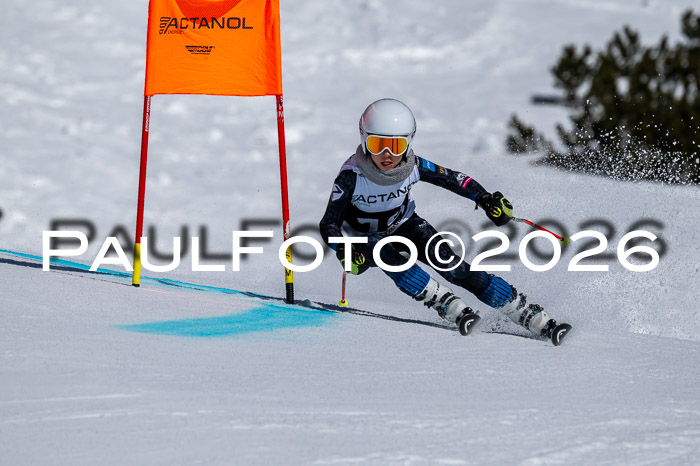 DSV - Actanol Deutscher Schülercup U12 Finale RSX 2026