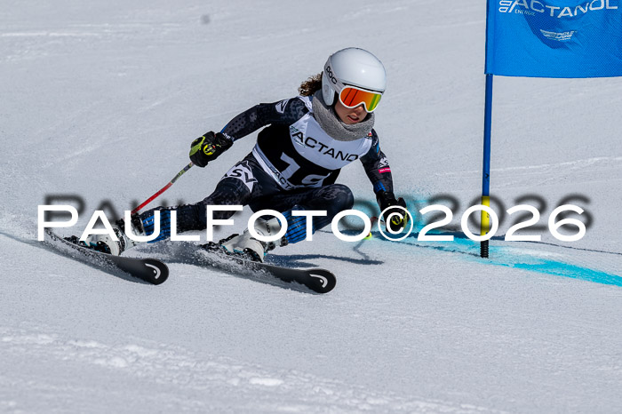 DSV - Actanol Deutscher Schülercup U12 Finale RSX 2026