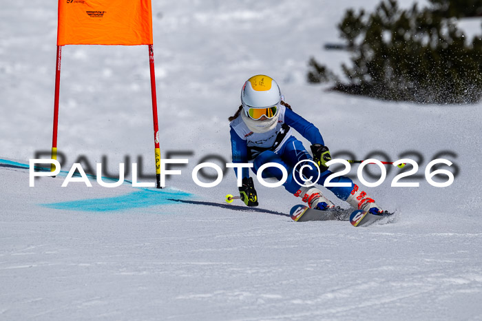 DSV - Actanol Deutscher Schülercup U12 Finale RSX 2026