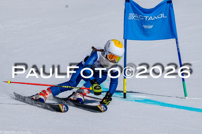 DSV - Actanol Deutscher Schülercup U12 Finale RSX 2026