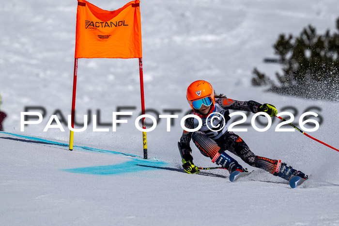 DSV - Actanol Deutscher Schülercup U12 Finale RSX 2026