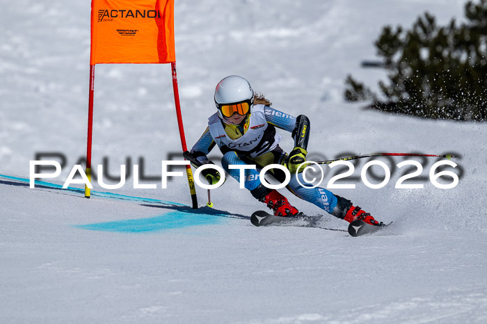 DSV - Actanol Deutscher Schülercup U12 Finale RSX 2026