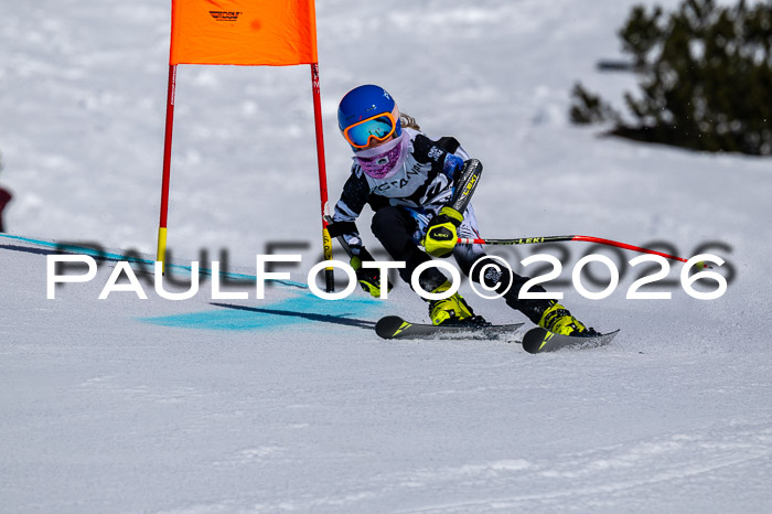 DSV - Actanol Deutscher Schülercup U12 Finale RSX 2026