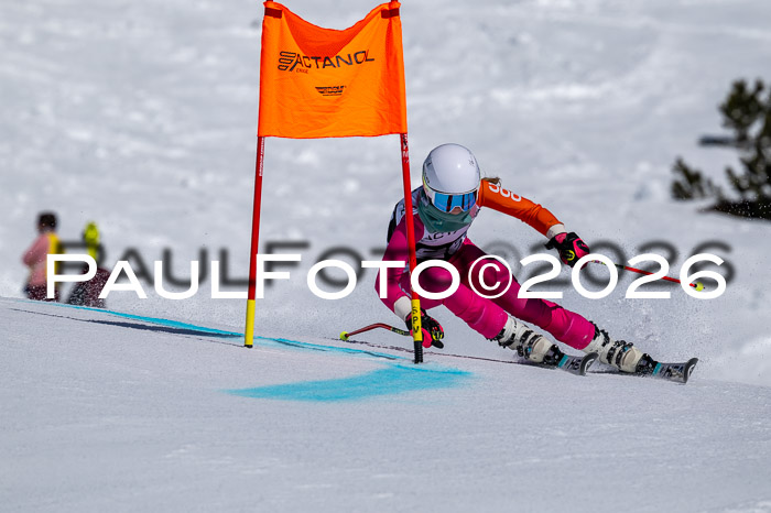 DSV - Actanol Deutscher Schülercup U12 Finale RSX 2026