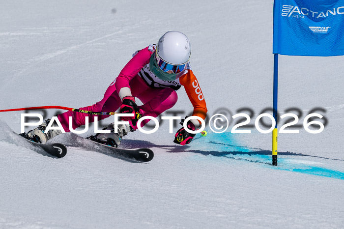 DSV - Actanol Deutscher Schülercup U12 Finale RSX 2026