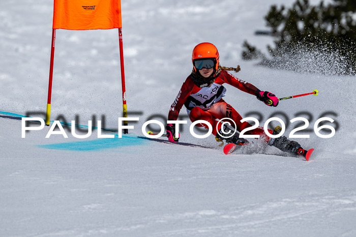DSV - Actanol Deutscher Schülercup U12 Finale RSX 2026