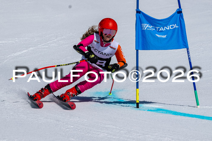 DSV - Actanol Deutscher Schülercup U12 Finale RSX 2026