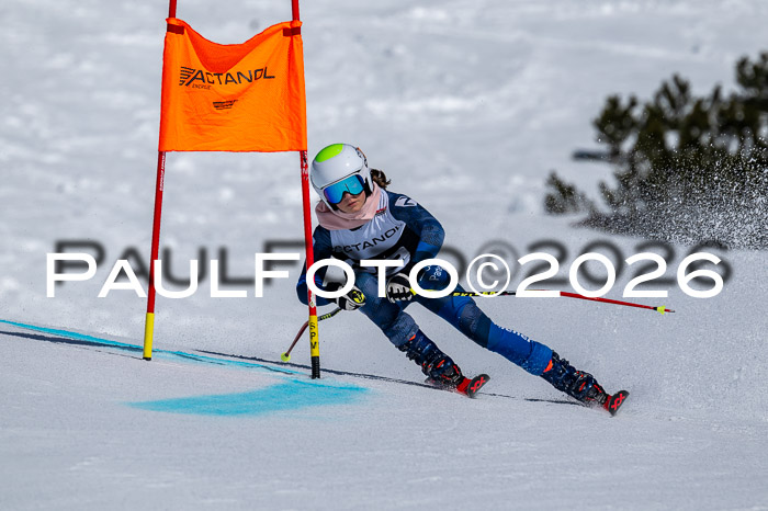 DSV - Actanol Deutscher Schülercup U12 Finale RSX 2026