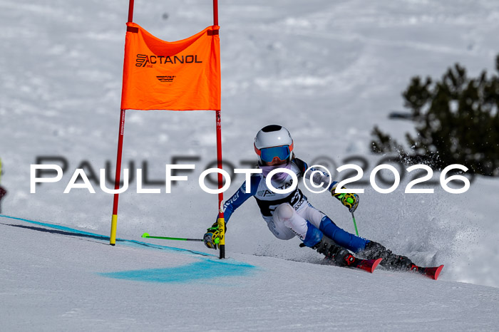 DSV - Actanol Deutscher Schülercup U12 Finale RSX 2026