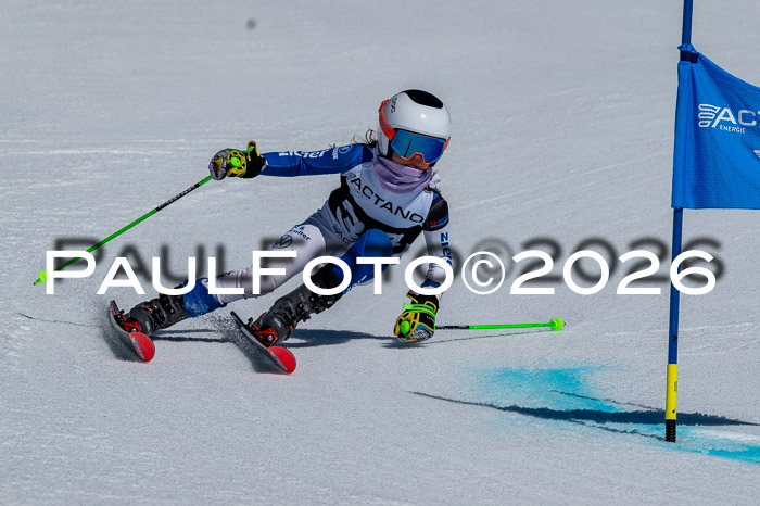 DSV - Actanol Deutscher Schülercup U12 Finale RSX 2026