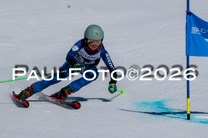 DSV - Actanol Deutscher Schülercup U12 Finale RSX 2026