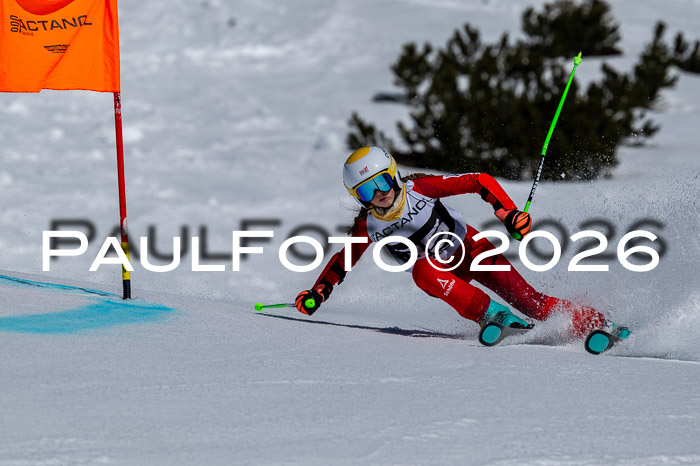 DSV - Actanol Deutscher Schülercup U12 Finale RSX 2026