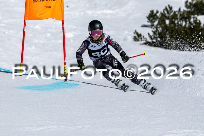 DSV - Actanol Deutscher Schülercup U12 Finale RSX 2026