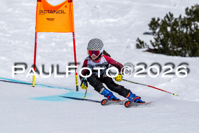 DSV - Actanol Deutscher Schülercup U12 Finale RSX 2026