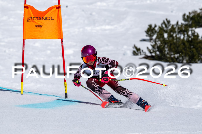 DSV - Actanol Deutscher Schülercup U12 Finale RSX 2026