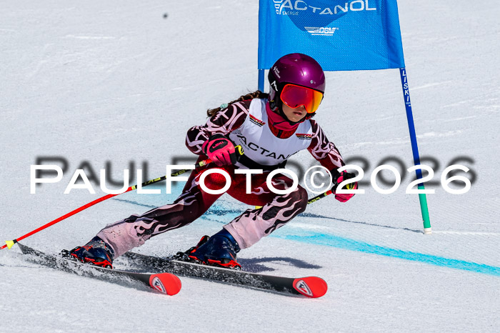 DSV - Actanol Deutscher Schülercup U12 Finale RSX 2026