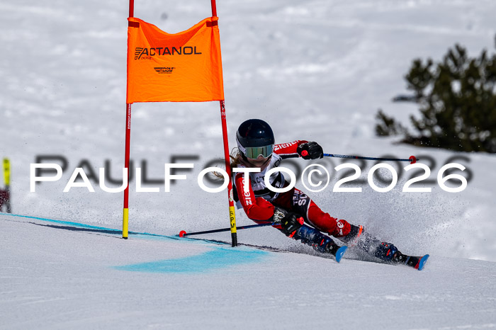 DSV - Actanol Deutscher Schülercup U12 Finale RSX 2026