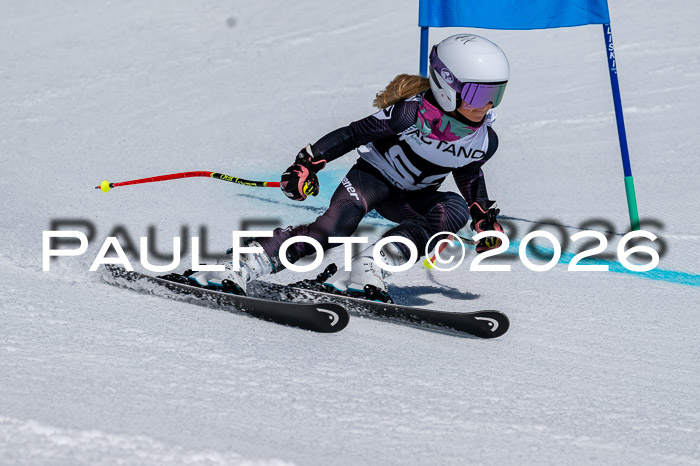 DSV - Actanol Deutscher Schülercup U12 Finale RSX 2026