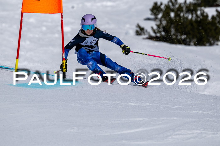 DSV - Actanol Deutscher Schülercup U12 Finale RSX 2026