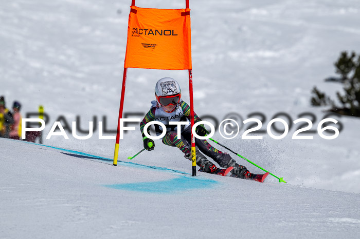 DSV - Actanol Deutscher Schülercup U12 Finale RSX 2026