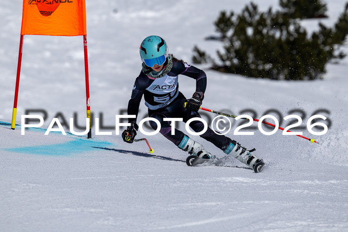 DSV - Actanol Deutscher Schülercup U12 Finale RSX 2026