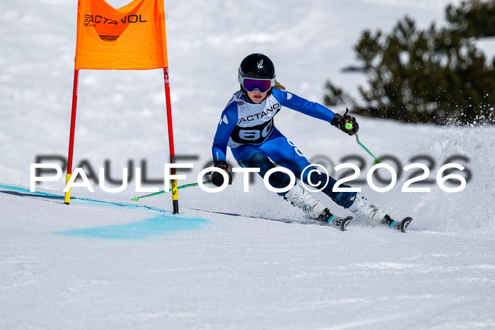 DSV - Actanol Deutscher Schülercup U12 Finale RSX 2026