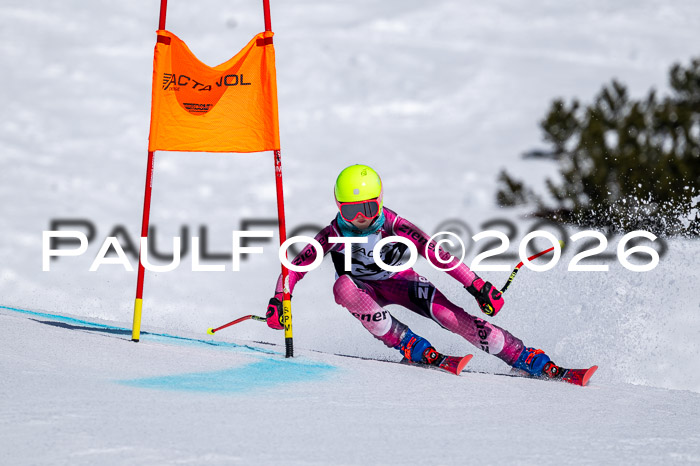 DSV - Actanol Deutscher Schülercup U12 Finale RSX 2026