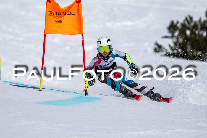 DSV - Actanol Deutscher Schülercup U12 Finale RSX 2026