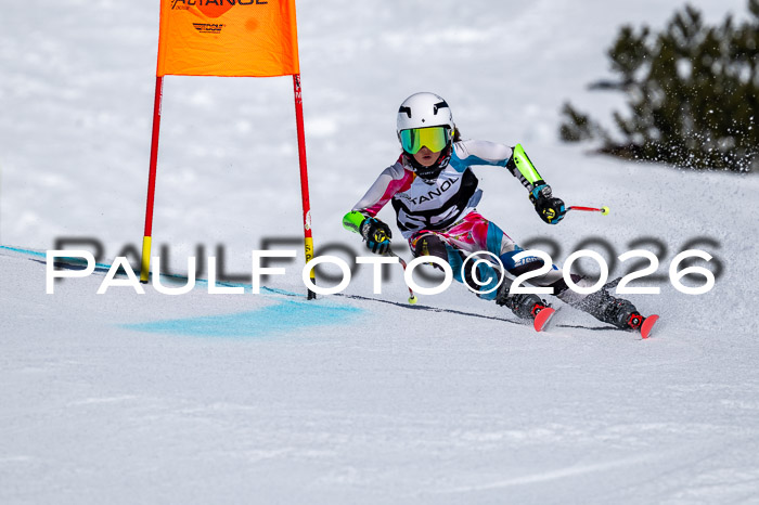 DSV - Actanol Deutscher Schülercup U12 Finale RSX 2026