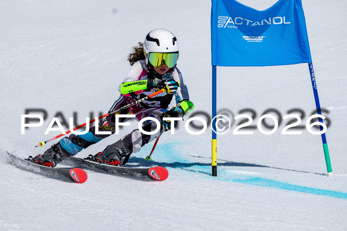 DSV - Actanol Deutscher Schülercup U12 Finale RSX 2026