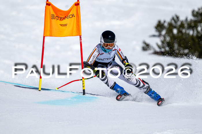 DSV - Actanol Deutscher Schülercup U12 Finale RSX 2026