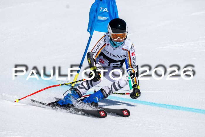 DSV - Actanol Deutscher Schülercup U12 Finale RSX 2026