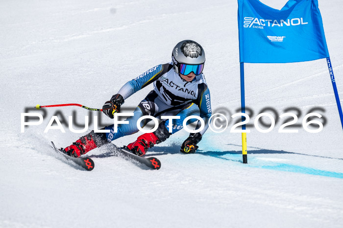 DSV - Actanol Deutscher Schülercup U12 Finale RSX 2026