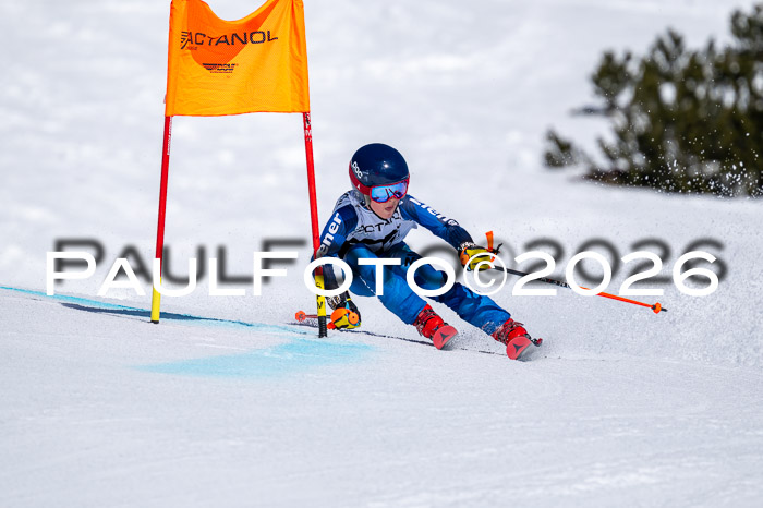 DSV - Actanol Deutscher Schülercup U12 Finale RSX 2026
