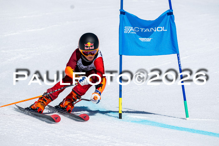 DSV - Actanol Deutscher Schülercup U12 Finale RSX 2026