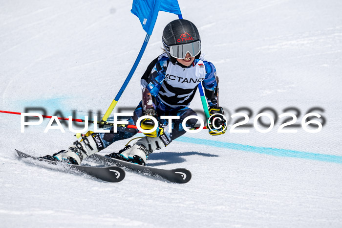 DSV - Actanol Deutscher Schülercup U12 Finale RSX 2026