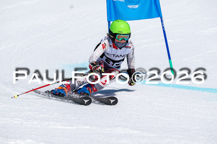 DSV - Actanol Deutscher Schülercup U12 Finale RSX 2026