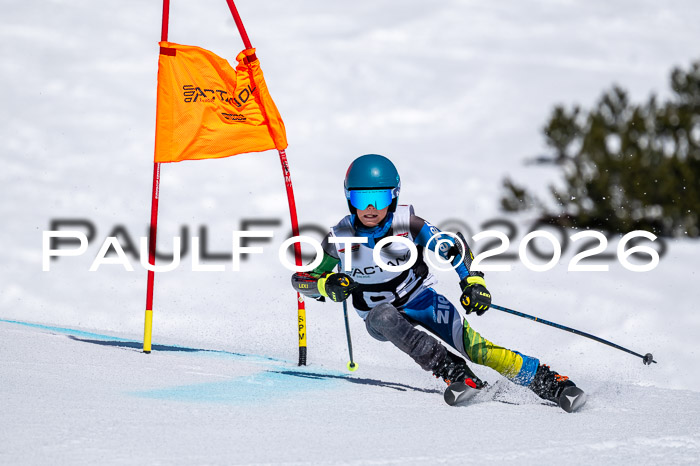 DSV - Actanol Deutscher Schülercup U12 Finale RSX 2026