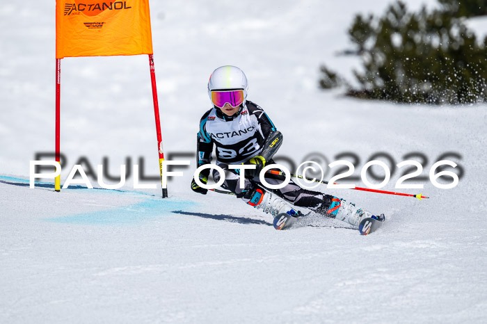 DSV - Actanol Deutscher Schülercup U12 Finale RSX 2026