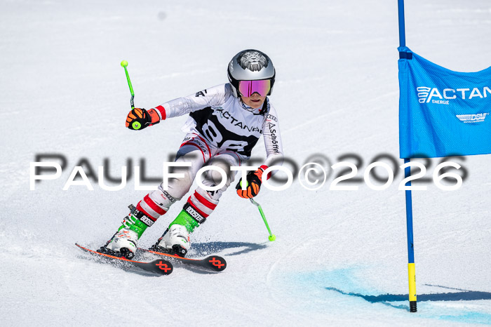 DSV - Actanol Deutscher Schülercup U12 Finale RSX 2026