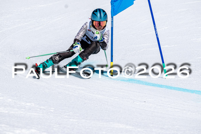 DSV - Actanol Deutscher Schülercup U12 Finale RSX 2026