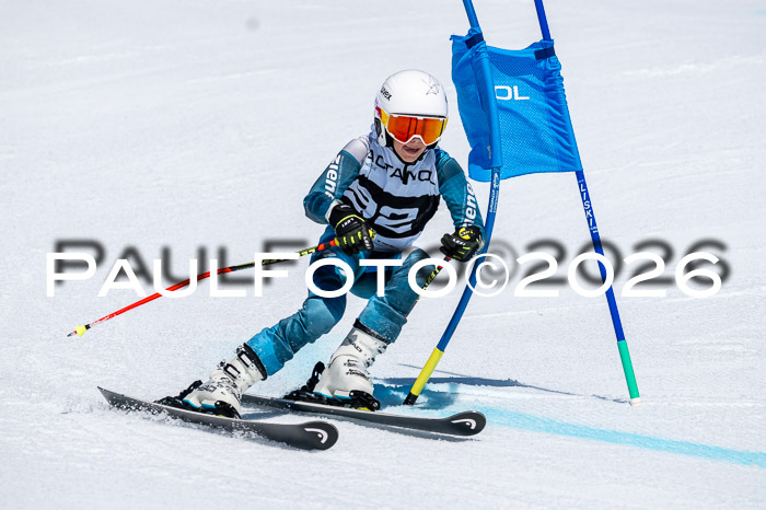 DSV - Actanol Deutscher Schülercup U12 Finale RSX 2026