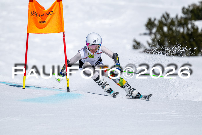 DSV - Actanol Deutscher Schülercup U12 Finale RSX 2026