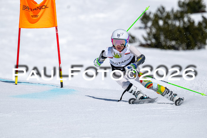 DSV - Actanol Deutscher Schülercup U12 Finale RSX 2026