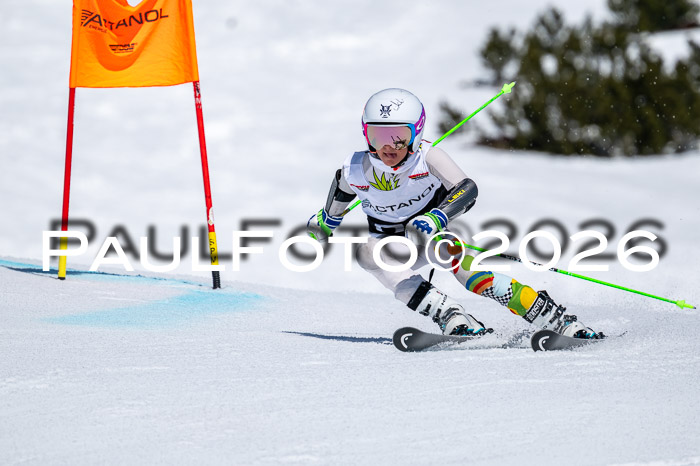 DSV - Actanol Deutscher Schülercup U12 Finale RSX 2026